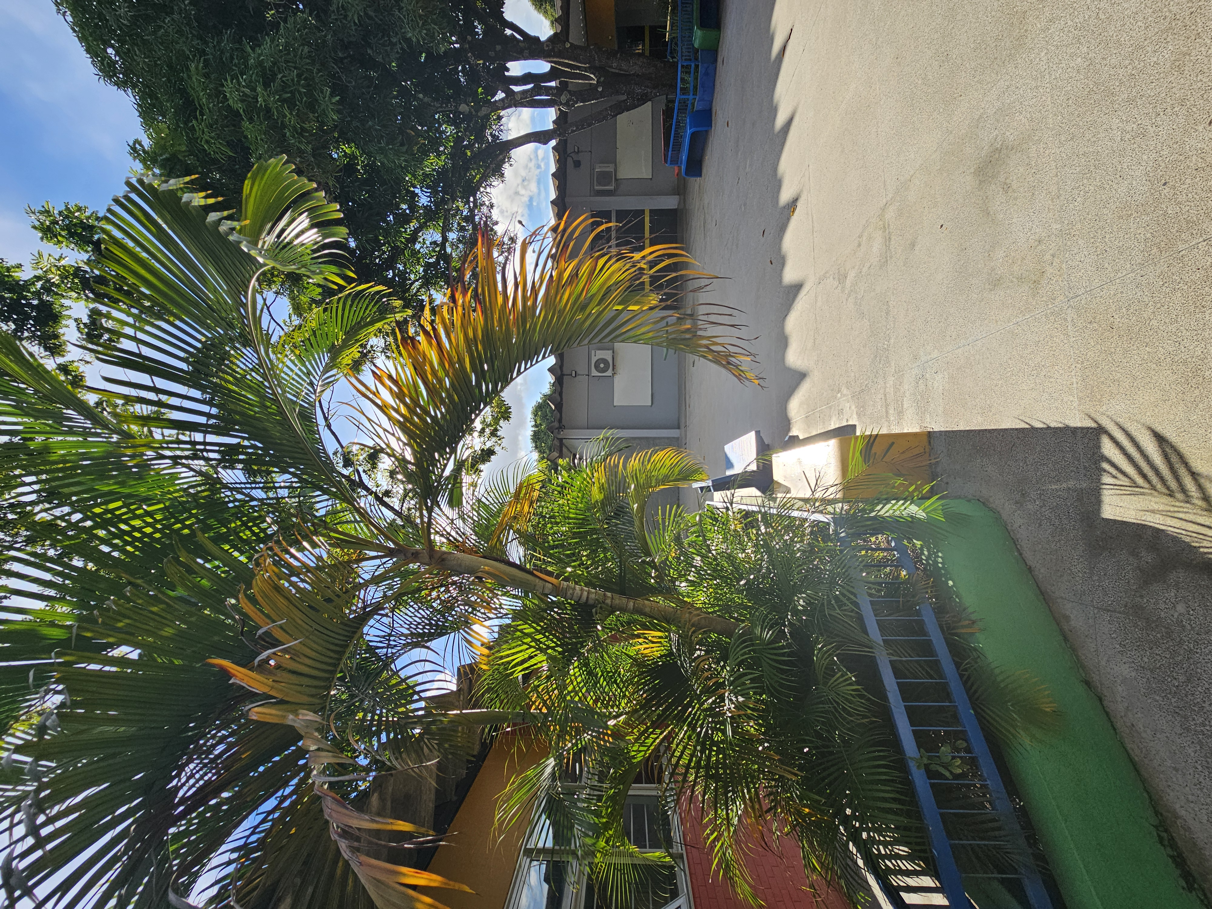 Foto 7